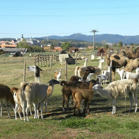 Farma Wenet Villa Broumov Buitenkant foto