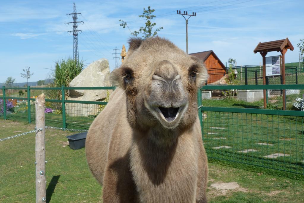 Farma Wenet Villa Broumov Buitenkant foto