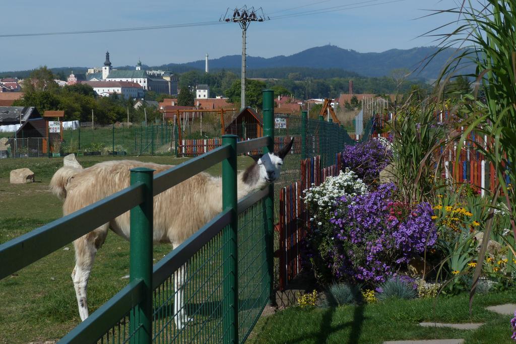 Farma Wenet Villa Broumov Buitenkant foto