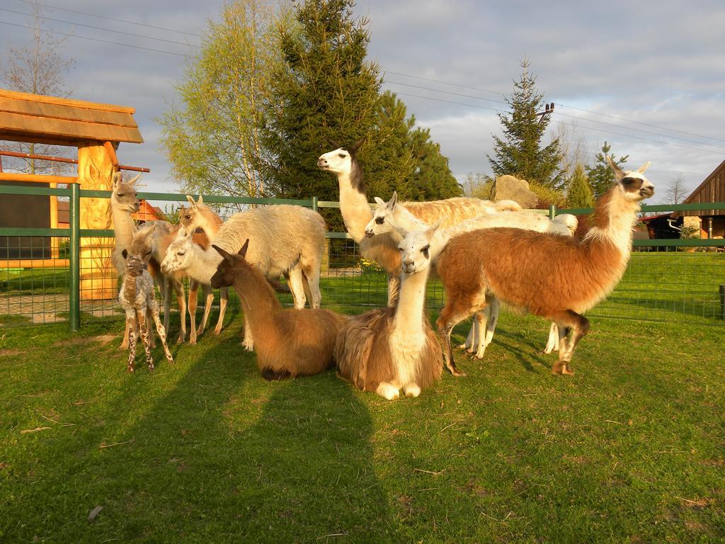 Farma Wenet Villa Broumov Buitenkant foto