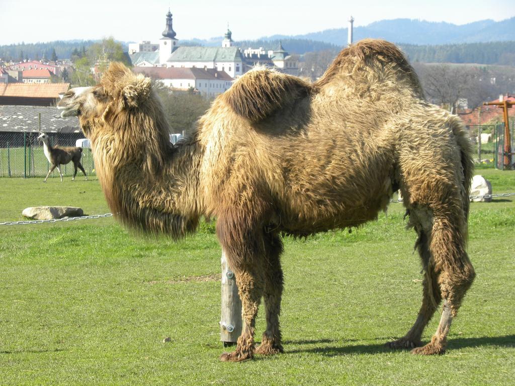 Farma Wenet Villa Broumov Buitenkant foto